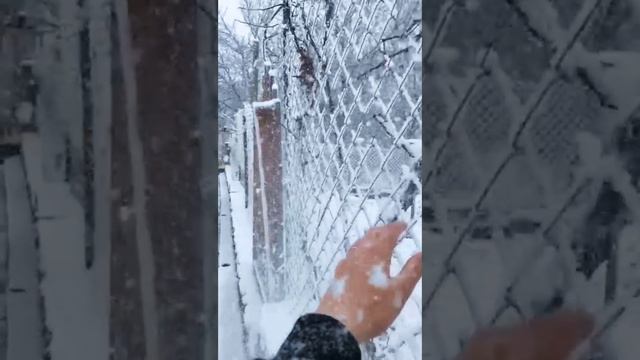Зима