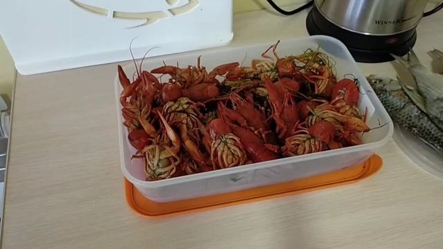 РАКОВАРНЯ НА ПРИОЗЕРНОЙ 23-А. ПЯТИГОРСК.