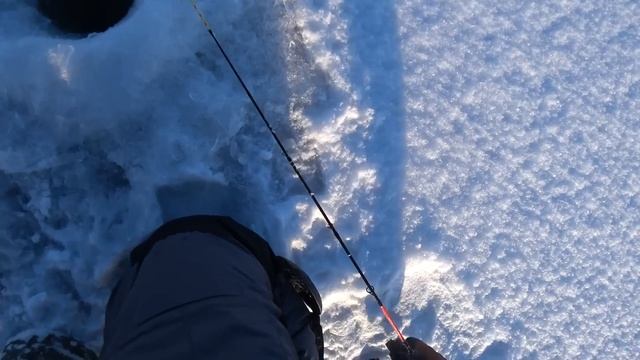 Рыбный четверг . Волга, много мелкого Судака. смотреть онлайн