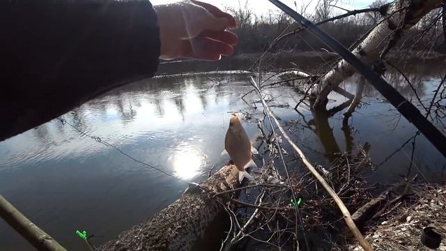 Рыбалка на Северском Донце. Фидер в Марте. Село Дроновка. смотреть онлайн