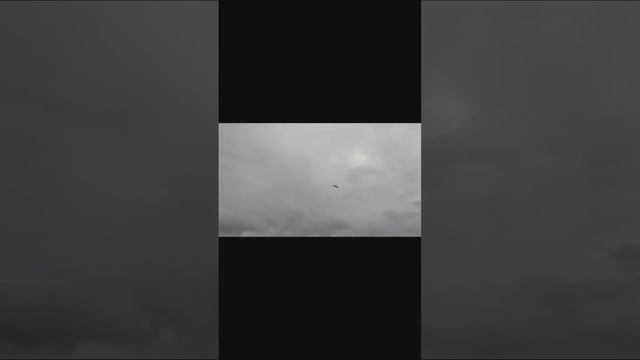 clip007