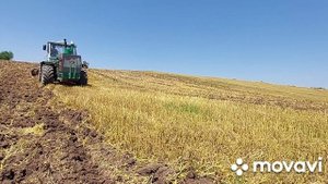 дискуем поля после уборки 07.09.2021 трактор т 150к дисковая борона ВЕЛЕС -АГРО