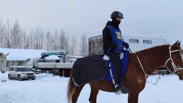 Дистанционные конные пробеги КСК Исток 09 01 22 смотреть онлайн