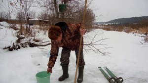 Старинный способ ловли горностая.