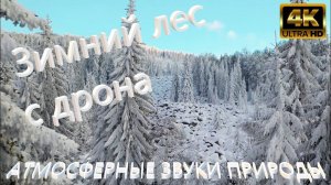 ЗИМНИЙ ЛЕС ЗВУКИ ПРИРОДЫ | ПОЛЁТ НА ДРОНЕ НАД ЗИМНИМ ЛЕСОМ Снежный зимний лес aakash gandhi