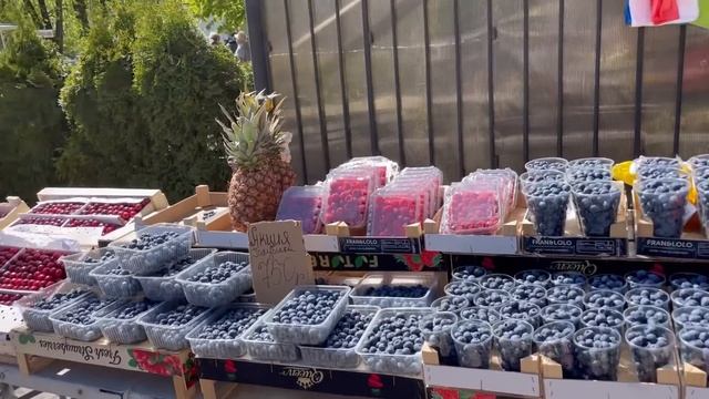 Не учите меня жить Фанатичная борьба за чистоту русского языка Работа должна быть в радость смотреть онлайн