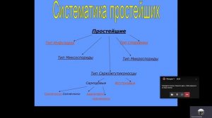 Видеолекция № 1 по биологии 7 класс