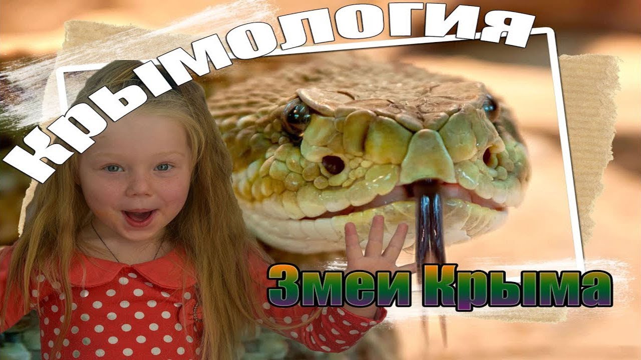 Змеи Крыма: какие пресмыкающиеся водятся на полуострове смотреть онлайн