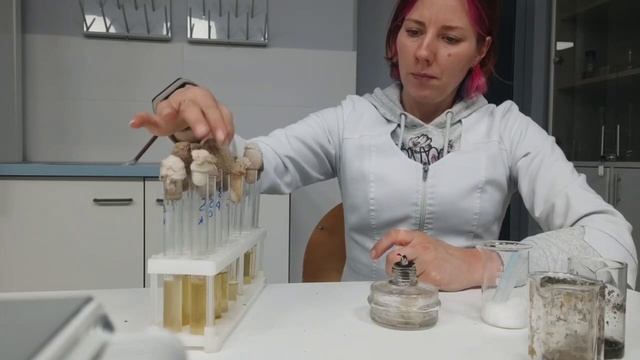 Структура мирового производства на рынке биотехнологий. Биотех образование. Эс джи биотех. Биотехнологии 2022. Пермский региональный оператор тко.