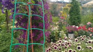 МОЙ ЛЮБИМЫЙ САД ? ПРОГУЛКА ПО КРАСИВОМУ САДУ ??