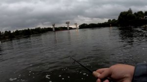 Ночной жерех на воблеры .Спиннинг G.Loomis SJR 783-2 GLX