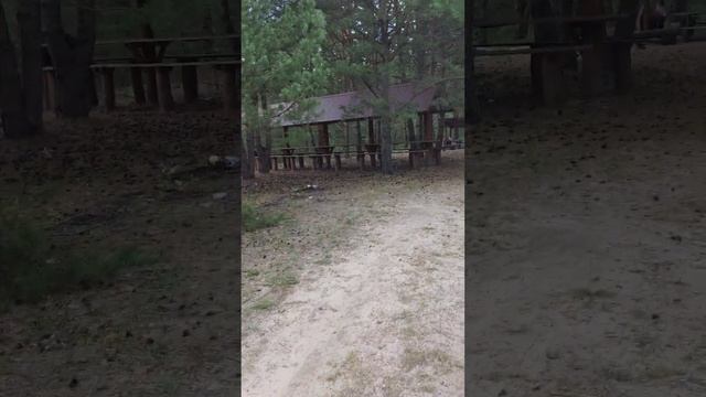 красивое место около голубой крыницы смотреть онлайн