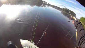 Свимбейт Savage Gear 3D Line Thru Trout 20 - форель для щуки.