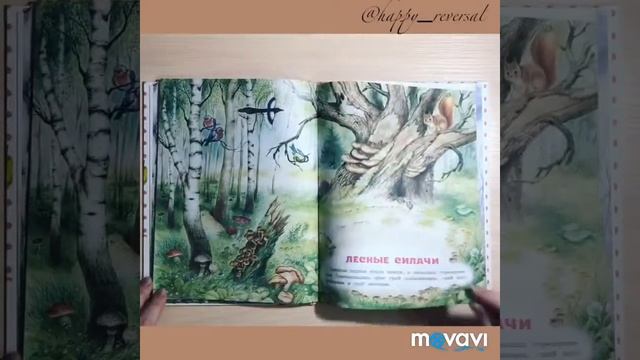 Сказки лесной опушки Фикс прайс смотреть онлайн