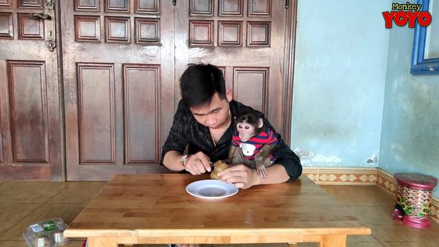 YoYo JR eats Kiwi for the first time