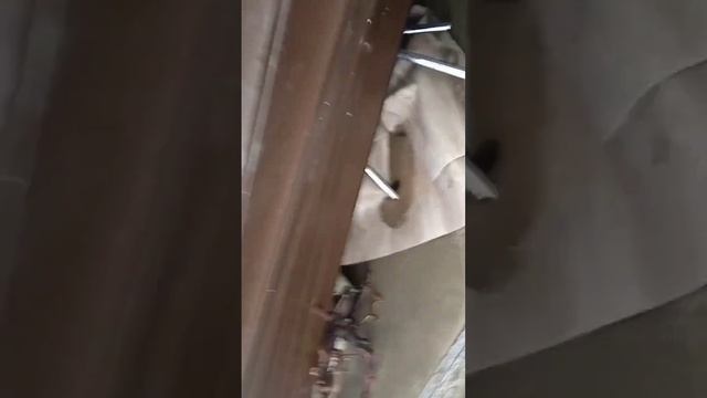 Скоро! Обзор разрушений на пляже #Сукко от Светланы Тихоновны. СуккоГрадъ подписка! Сначала на Дзен смотреть онлайн