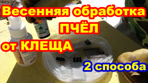 ВарроНет и пихтовое масло от клеща варроа ! Весенняя экологичная обработка пчёл от клеща 2 способа