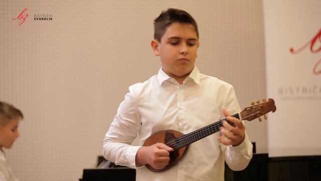 Vittorio Monti: Czardas - Antonio Katušić, bisernica / Bistrički ZVUKOLIK 2015. смотреть онлайн