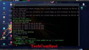 Which folder is to install Golang binary with Terminal on Parrot Security Linux