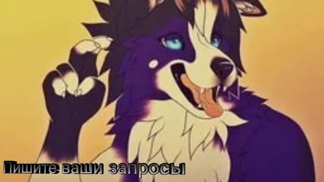 Бурдер-Колли по запросу The fall with lol, Лунный пёс - Сны смотреть онлайн