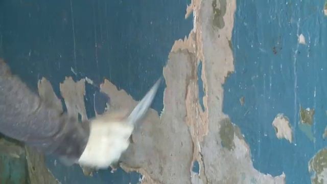 (12 +) Н. Чаплин проверил ремонт подъездов смотреть онлайн