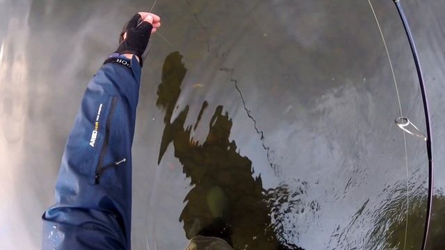 FISHING NEWS (отчёты с рыбалки) Выпуск #2  25 июня р.Томь Новокузнецк.