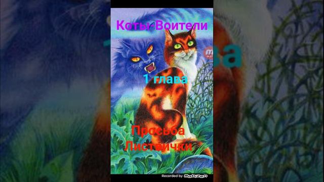 Коты воители просьба листвички! Половина 1 главы смотреть онлайн