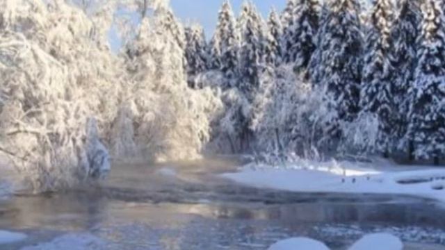 тайны природы Астрахани
