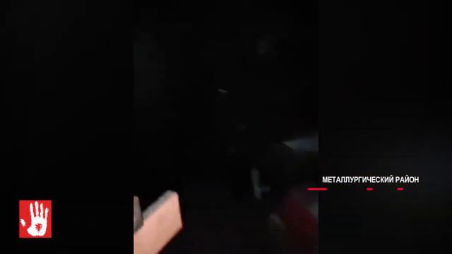 Куча мусора, антисанитария и вокруг только собаки, да кошки!