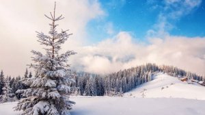 Зимние пейзажи под красивую музыку