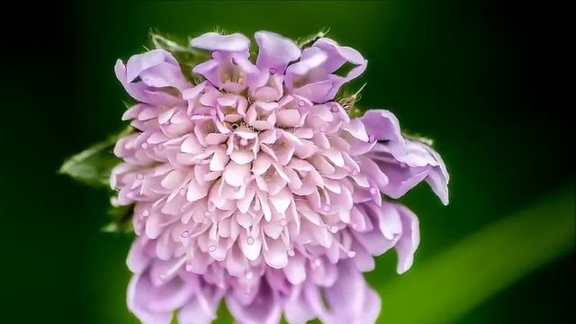 Март обещает быть очень энергичным и противоречивым месяцем смотреть онлайн