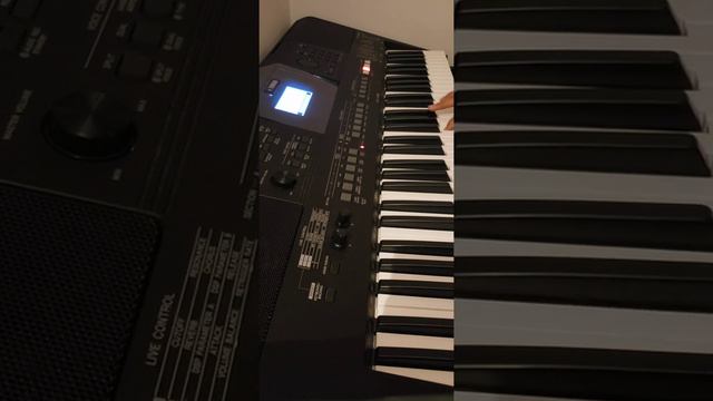 Richard Clayderman - Ballade pour Adeline | Yamaha PSR E463 Keyboard Piano Cover смотреть онлайн