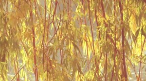 Одинокая Флейта. Сказка 48