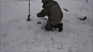 20.12.18 КМ(Савельево) УРАГАННЫЙ УТРЕННИЙ КЛЁВ И МНОГО ВЕСЕЛЬЯ!