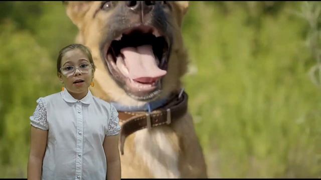 МБУ "Библиотека" ПРОСТО ЧУДЕСНАЯ Поэтическая встреча "Ключ от сказки" (для тех, кто любит Р.Сефа) смотреть онлайн