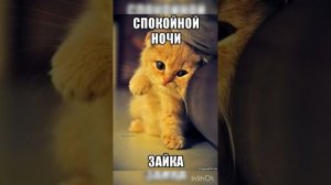 Спокойной ночи ? Приятных и Нежных снов ??? Хорошего отдыха ?