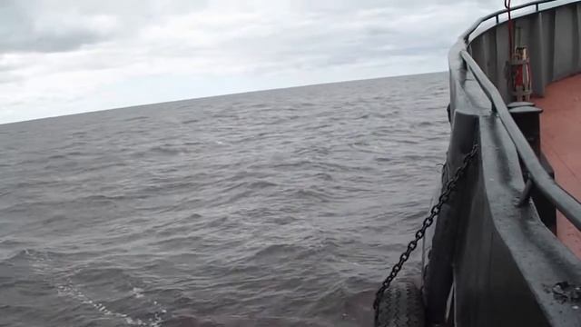 7 часть. Идем на Салман смотреть онлайн