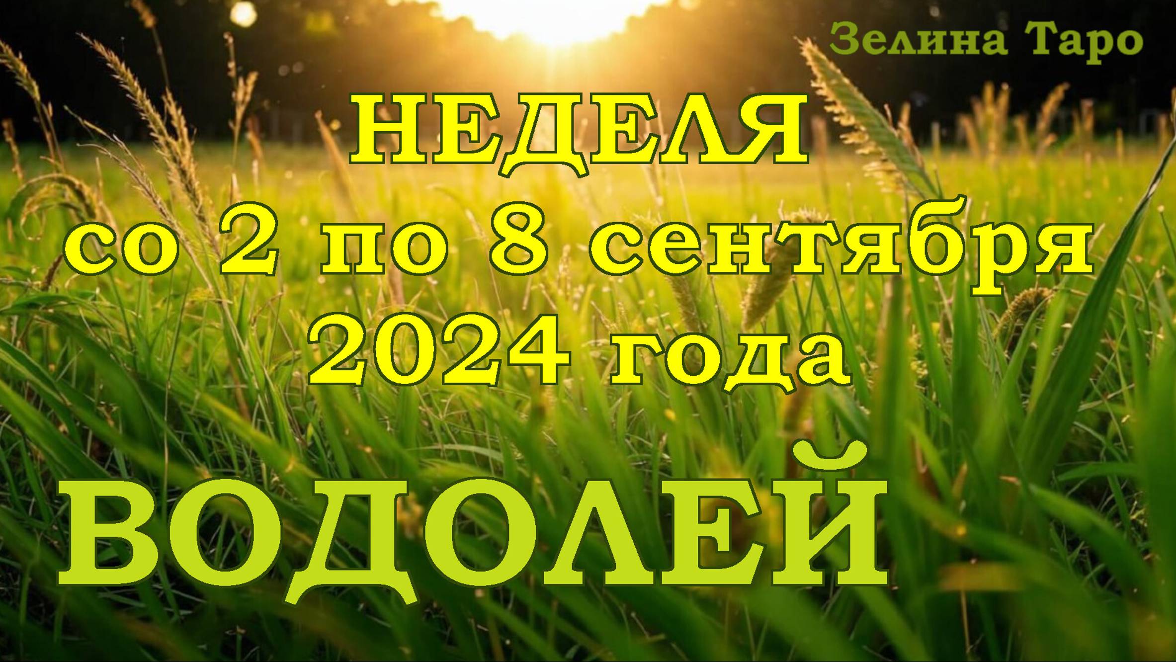 ВОДОЛЕЙ | ТАРО прогноз на неделю со 2 по 8 сентября 2024 года
