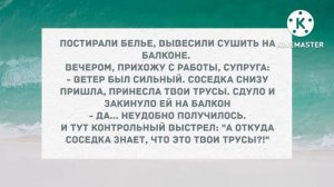 Соседка принесла твои трусы. Подборка веселых анекдотов для настроения! Приколы!