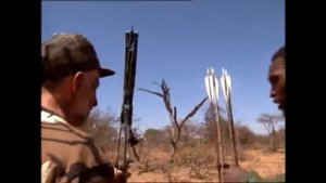 охота на зебру в Африке