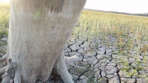 Дно Краснодарского водохранилища 2020. Коп и рыбалка