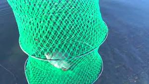 Отчёт о рыбалке озера - Большой Сынгуль,Червяное,Калды.