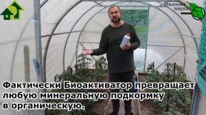 ЦЕЛЫХ ДВА РЕЦЕПТА (ПЛАТНЫЙ и БЕСПЛАТНЫЙ) ПОДКОРМКИ ТОМАТОВ  и ДРУГИХ ТЕПЛИЧНЫХ РАСТЕНИЙ ДЛЯ УРОЖАЯ!