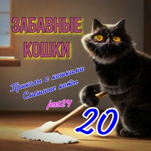 Забавные кошки / Приколы с кошками / Смешные коты #20