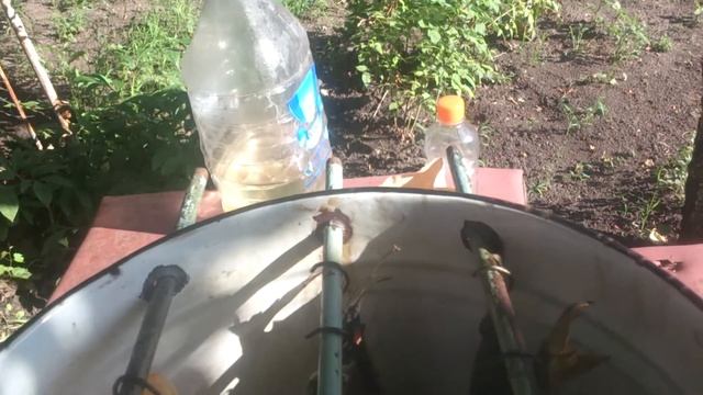 Скумбрия холодного копчения, а также морепродукты смотреть онлайн