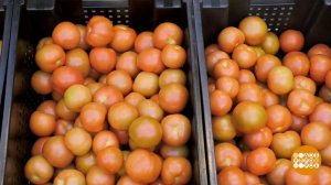 Овощей будет больше! Доброе утро. Фрагмент выпуска от 13.05.2022