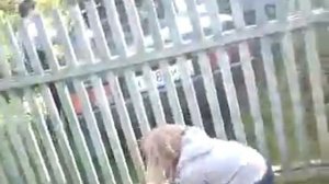 Так дети мучают кошек