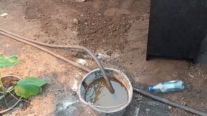 Подкормка огурцов байкал м1