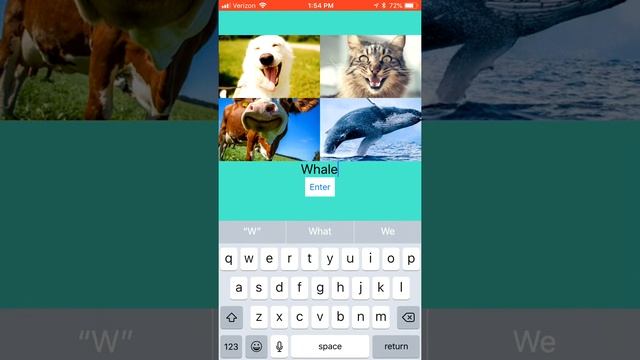 CS 107: Animal Sounds App