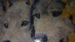 . Серия Картин на подрамнике 40×50 Новый процесс Волчья Преданность.